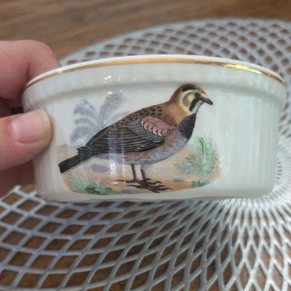 Elegant Bird Design Ceramic Bowl